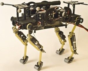 gato_Robot