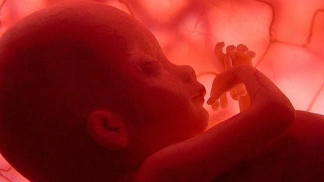 Los científicos han encontrado la prueba que asocia el peso al nacer con la salud en la vida posterior. Con una gota de sangre del recién nacido se podrá calcular también su esperanza de vida.