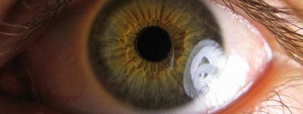 Científicos consiguen regenerar la retina reprogramando sus neuronas