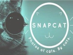 Snapcat