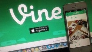 vine