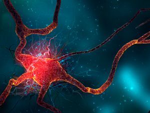 Consiguen implantar falsos recuerdos en el cerebro