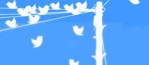 twitters-590x260