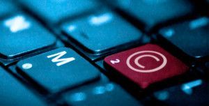 5 bases de datos donde conseguir imágenes libres de derechos