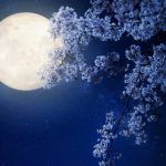 Luna llena