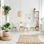 Hogar con plantas naturales