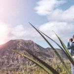 Los 10 tips más efectivos para los principiantes en Instagram