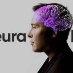 Elon Musk: implante de chip cerebral será probado en humanos el próximo año