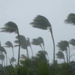 Ciclón tropical: App sigue el rumbo de huracanes y tormentas «en vivo»