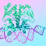AlphaFold 3: Inteligencia Artificial revoluciona el descubrimiento de medicamentos con predicción precisa de estructuras moleculares