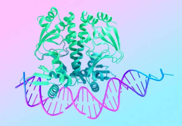 AlphaFold 3: Inteligencia Artificial revoluciona el descubrimiento de medicamentos con predicción precisa de estructuras moleculares