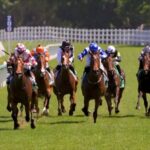 LiveU, líder en soluciones de producción remota y video IP en vivo, anunció hoy la implementación exitosa de su solución integral de producción remota IP en Tabcorp - Sky Racing, transformando la forma en que la empresa líder de apuestas y entretenimiento de Australia transmite eventos de carreras de caballos en vivo