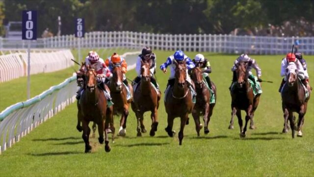 LiveU, líder en soluciones de producción remota y video IP en vivo, anunció hoy la implementación exitosa de su solución integral de producción remota IP en Tabcorp - Sky Racing, transformando la forma en que la empresa líder de apuestas y entretenimiento de Australia transmite eventos de carreras de caballos en vivo