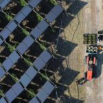 Viñedo agrivoltaico del futuro produce vino y energía eléctrica