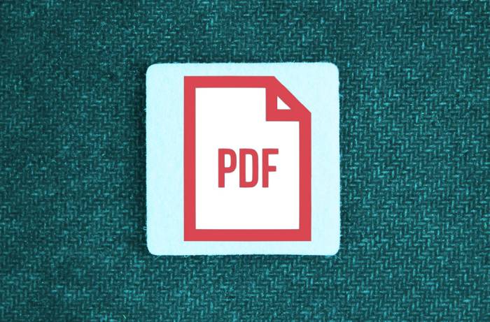 Archivos PDF maliciosos: cómo reconocerlos y proteger tu información digital