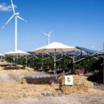 Puglia impulsa el futuro del vino con tecnología agrivoltaica