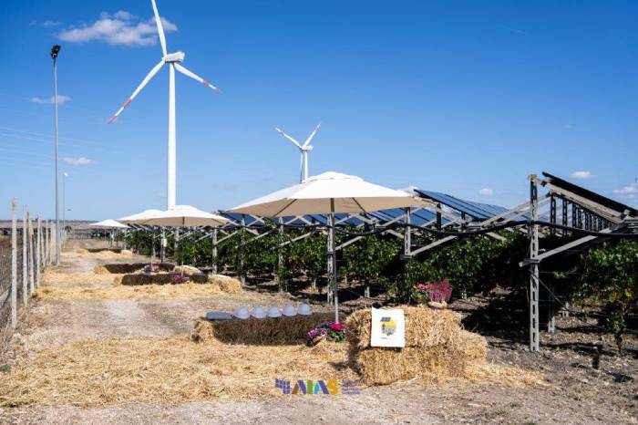 Puglia impulsa el futuro del vino con tecnología agrivoltaica