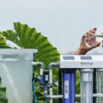 Del cielo al vaso: cómo el agua de lluvia puede aliviar la crisis mundial de agua potable