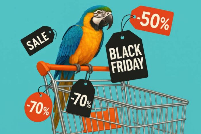 Black Friday: la psicología del descuento en la era digital
