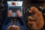 Dell 14S: la nueva laptop económica que le hace sombra al MacBook Neo con hasta 21 horas de batería