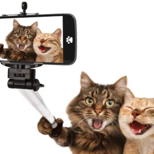 Cómo funciona realmente la viralidad en Instagram: guía basada en datos