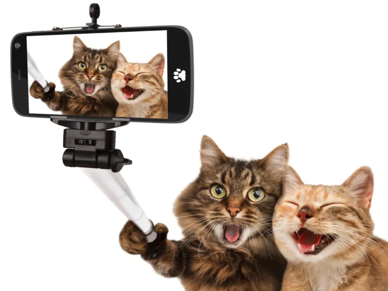 Cómo funciona realmente la viralidad en Instagram: guía basada en datos