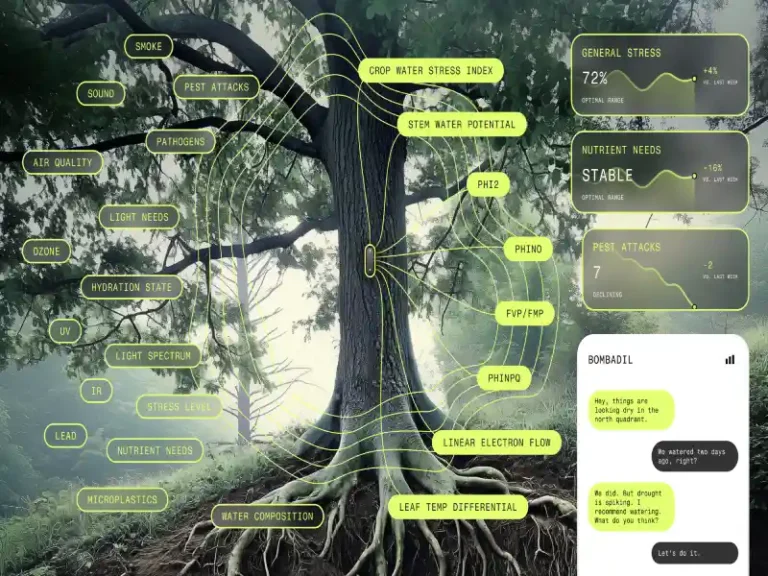 Una inteligencia artificial logra «escuchar» a las plantas y revela lo que necesitan