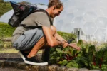 De una selva tropical al salón de clases en vivo: así funciona el aula virtual de Eden Project con LiveU