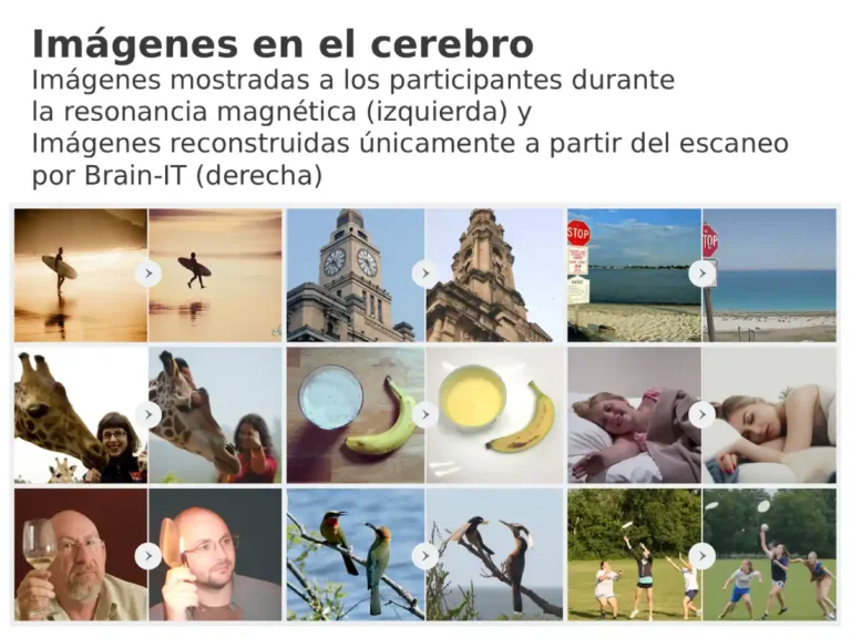 Brain-IT: una IA analiza escáneres cerebrales y replica con precisión las imágenes que ves
